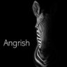 Angrish's profile picture