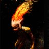 Hasen 🦭/acc's profile picture