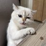 Фото профиля Do Not Disturb