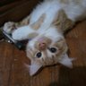 Taniaโท ๐ง's profile picture