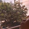 Adhy 的头像