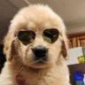 Jwx's profile picture