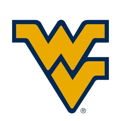 WVSportsDotCom's profile picture