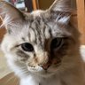 Profilbild von 斗亜です