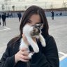 ada 的头像