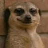 mgeni wa jiji's profile picture