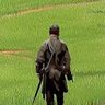 M 的头像