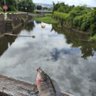 Фото профиля 杯中的魚
