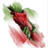 Seyed Mahmood Mahdian 的头像