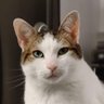 egalot's profile picture