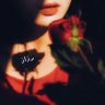 رذاذ 🌹's profile picture