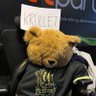 Krulletmeister profil fotoğrafı