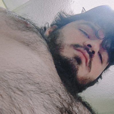 Fibear (Bara Guy In Progress)'s profile picture