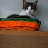 Profilbild von ceki namet