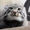 Profilbild von Graham