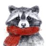 Profilbild von 0x浣熊