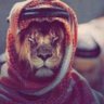 Фото профиля ياسر