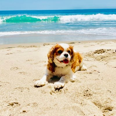 JBW's profile picture
