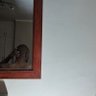 __Ceejayyy's profile picture