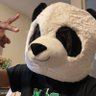 Cosmo Bady's profile picture
