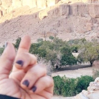 سبولة حضرمية's profile picture