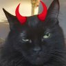 Фото профиля *The* Lu 👀 CBE🐈⬛️🏴🇨🇦