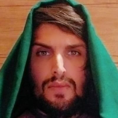 smaminmosavi's profile picture