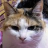 そらたま profil fotoğrafı