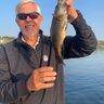 Richard Lipowicz's profile picture
