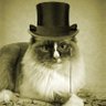 EL-cat-toe's profile picture