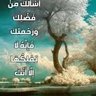 Фото профиля Hade Ibrahem