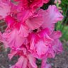 Фото профиля Jamesthelesser
