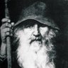 WiseWanderer profil fotoğrafı