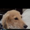 中島晃雄's profile picture