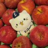 Profilbild von 甘めの獅子党🦁🍅