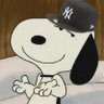 anthony! ⚾️'s profile picture