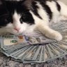 Maxi Scammers (check bio) profil fotoğrafı