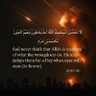 Фото профиля F isNOTreal F Trump F 'merica 🇵🇸 🇾🇪 🇮🇷