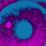 Фото профиля Infinite Jest