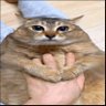 Profilbild von .