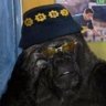Mono Bostero🦧's profile picture