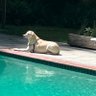 booboo profil fotoğrafı