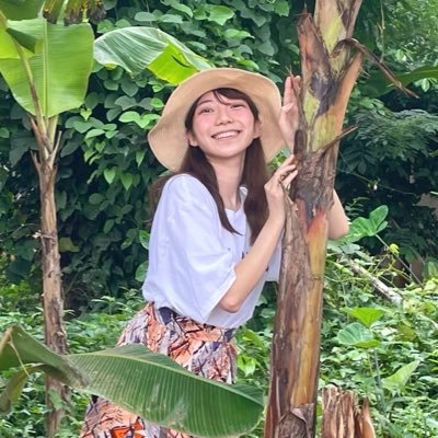 ai_ghanacacao's profile picture