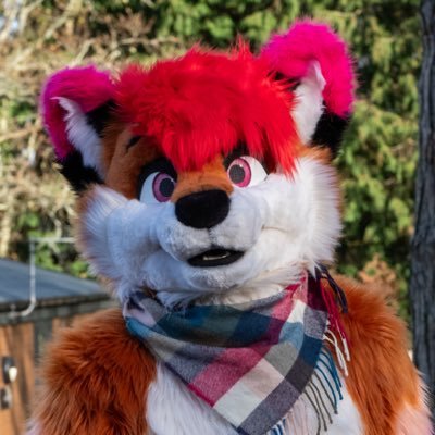 Cassius🌱's profile picture