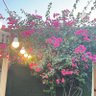 EyadEyad profil fotoğrafı