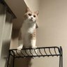 LA_TE's profile picture