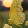 🦋دُرر🤍's profile picture