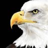 Vulture AWEB 的头像