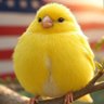 Фото профиля Fat💛Canary
