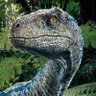 Philosoraptor profil fotoğrafı
